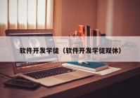 软件开发学徒（软件开发学徒双休）