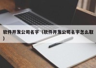 软件开发公司名字（软件开发公司名字怎么取）