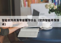 智能软件开发专业要学什么（软件智能开发技术）