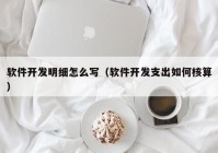 软件开发明细怎么写（软件开发支出如何核算）